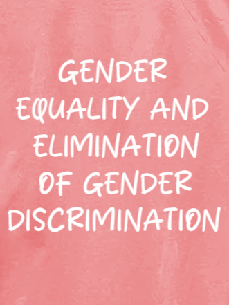 Gender equality and elimination of gender discrimination Ideologies T-Shirt