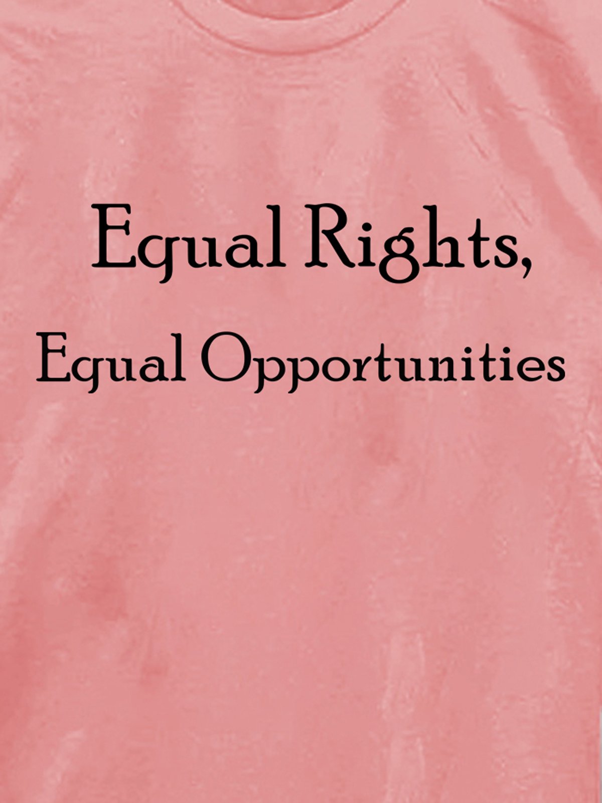 Equal rights, Equal Opportunities Equality Equality Day T-Shirt