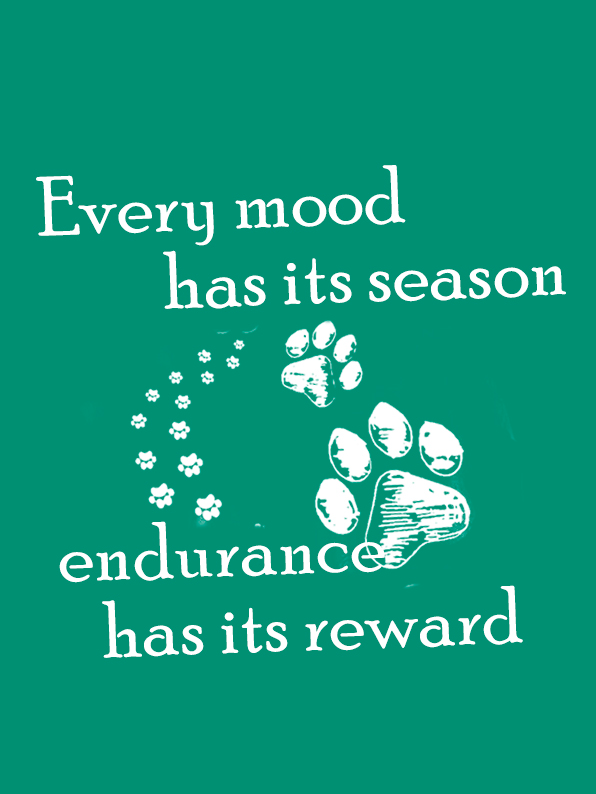 Every mood has its season; endurance has its reward. BPD T-Shirt