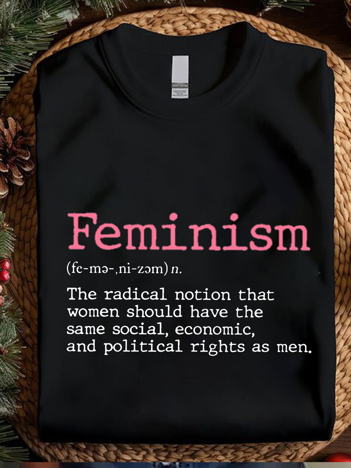 The Radical Notion Feminism Equality  Equality Day  T-Shirt